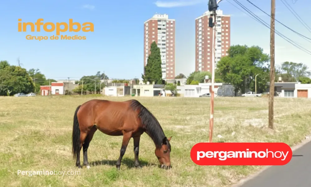 IMGS PERGAMINOHOY.COM_20250919_160723_0000