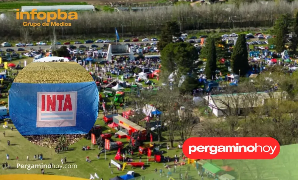 IMGS PERGAMINO NOTICIAS (42)