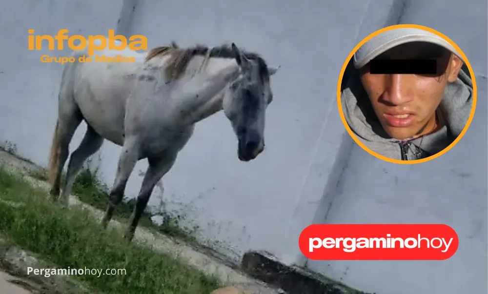 IMGS PERGAMINOHOY.COM_20250918_073112_0000