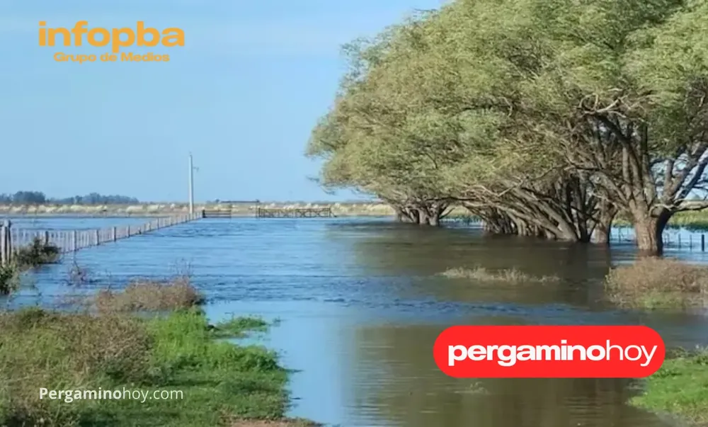 IMGS PERGAMINO NOTICIAS (41)